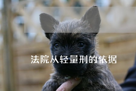 法院从轻量刑的依据 法院从轻量刑的依据