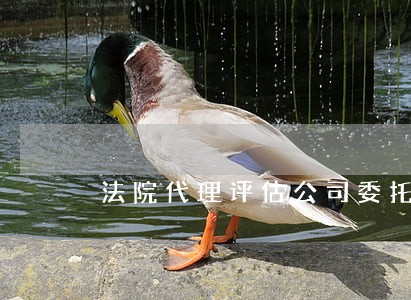 法院代理评估公司委托书 法院代理评估公司委托书