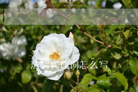 法院代理词怎么写 法院代理词怎么写