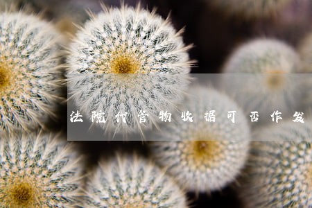 法院代管物收据可否作发票 法院代管物收据可否作发票