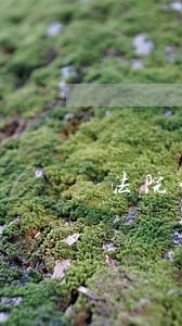 法院代还款协议书 法院代还款协议书