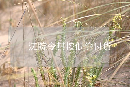 法院令其按低价付货 法院令其按低价付货