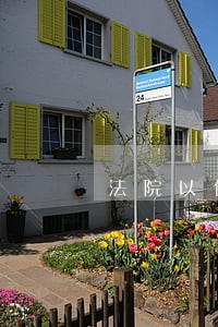 法院以什么程序公开开庭 法院以什么程序公开开庭