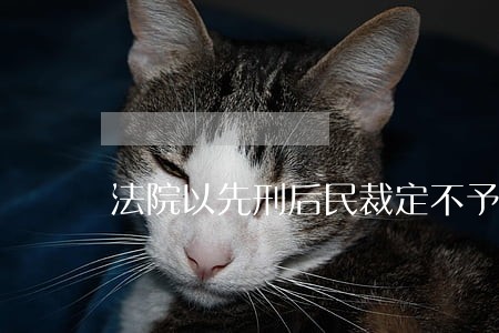 法院以先刑后民裁定不予立案 法院以先刑后民裁定不予立案