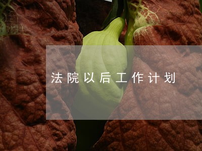 法院以后工作计划 法院以后工作计划