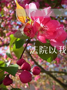 法院以我未到交房时间就起诉被告 法院以我未到交房时间就起诉被告