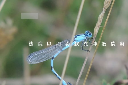 法院以拍卖款充冲抵债务人债务 法院以拍卖款充冲抵债务人债务