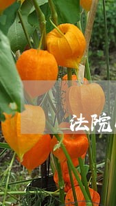 法院以案促改专项整治 法院以案促改专项整治
