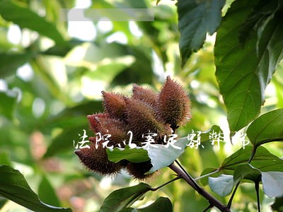 法院以案定额弊端 法院以案定额弊端