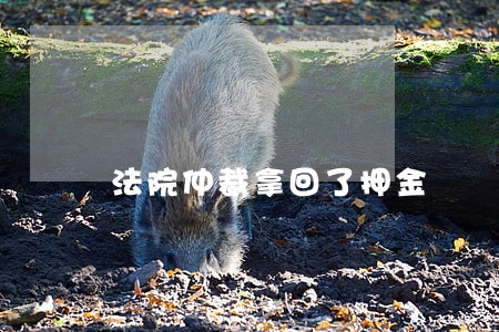 法院仲裁拿回了押金 法院仲裁拿回了押金