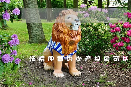 法院仲裁的小产权房可以买吗