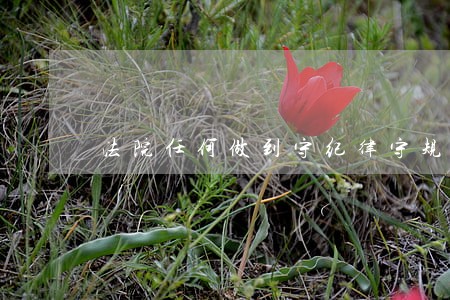 法院任何做到守纪律守规矩 法院任何做到守纪律守规矩