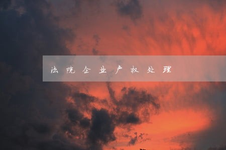 法院企业产权处理 法院企业产权处理