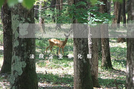 法院企业家化解
