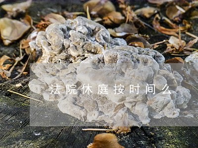 法院休庭按时间么 法院休庭按时间么