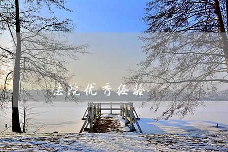 法院优秀经验 法院优秀经验