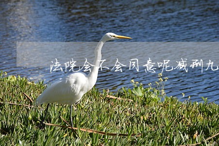 法院会不会同意呢减刑九个月呢