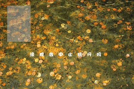 法院会中止执行吗 法院会中止执行吗