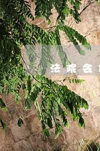 法院会保存案件哪些材料档案 法院会保存案件哪些材料档案