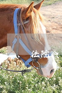法院会加重刑期吗 法院会加重刑期吗