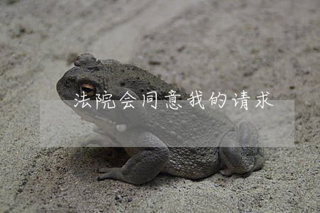 法院会同意我的请求 法院会同意我的请求