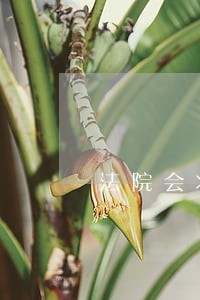 法院会将原告的资料给被告吗 法院会将原告的资料给被告吗