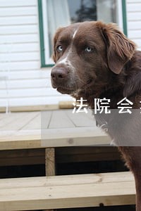 法院会扣押农村自己建房吗 法院会扣押农村自己建房吗