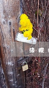 法院会扣银行卡的钱吗 法院会扣银行卡的钱吗