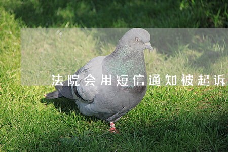 法院会用短信通知被起诉人嘛 法院会用短信通知被起诉人嘛