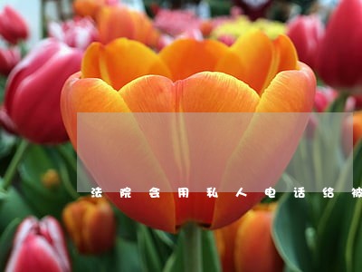 法院会用私人电话给被告人 法院会用私人电话给被告人