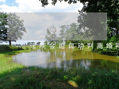 法院会给自动判离婚吗 法院会给自动判离婚吗
