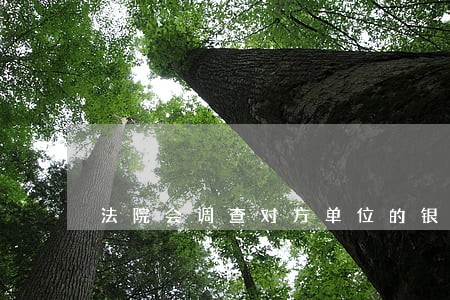 法院会调查对方单位的银行账户吗 法院会调查对方单位的银行账户吗