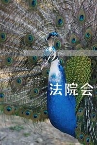 法院会通过什么途径 法院会通过什么途径