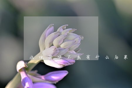 法院传唤不去有什么后果缺席判决 法院传唤不去有什么后果缺席判决