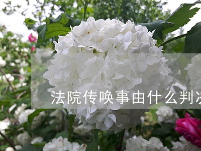 法院传唤事由什么判决义务 法院传唤事由什么判决义务