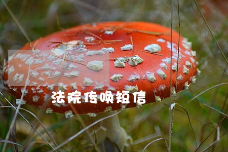 法院传唤短信 法院传唤短信