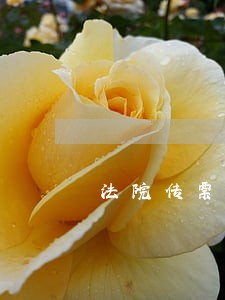 法院传票2张没履行