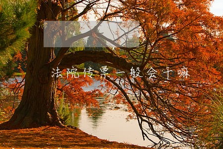 法院传票一般会干嘛 法院传票一般会干嘛