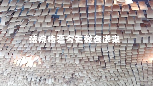 法院传票今天就会送来 法院传票今天就会送来