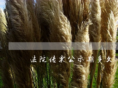 法院传票公示期多久 法院传票公示期多久
