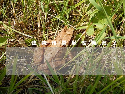 法院传票到家两天了 法院传票到家两天了