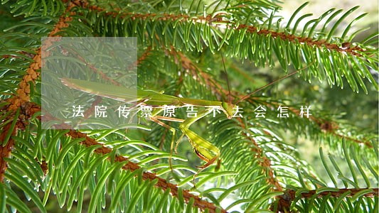 法院传票原告不去会怎样 法院传票原告不去会怎样