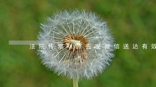 法院传票叫原告发微信送达有效吗 法院传票叫原告发微信送达有效吗