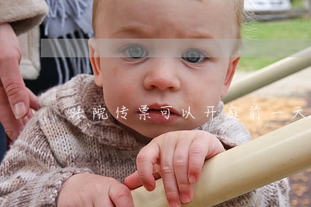 法院传票可以开庭前一天拿吗 法院传票可以开庭前一天拿吗