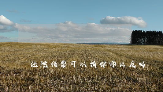 法院传票可以请律师出庭吗 法院传票可以请律师出庭吗