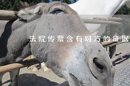 法院传票含有对方的证据吗 法院传票含有对方的证据吗