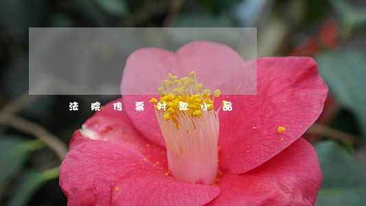 法院传票对歌小品 法院传票对歌小品