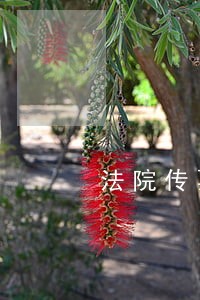 法院传票搞笑图片