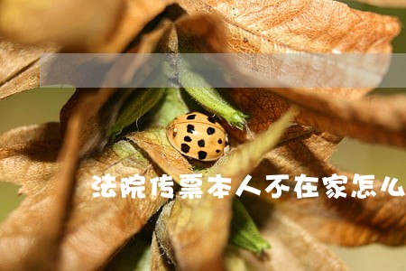 法院传票本人不在家怎么办