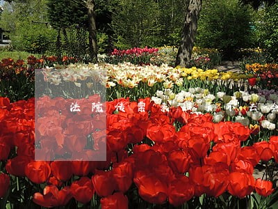 法院传票来如果不去会怎样 法院传票来如果不去会怎样